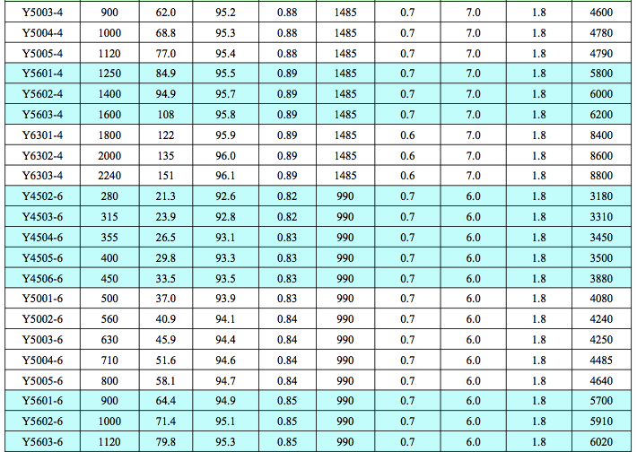 Y10kV中型高壓電機(jī)3